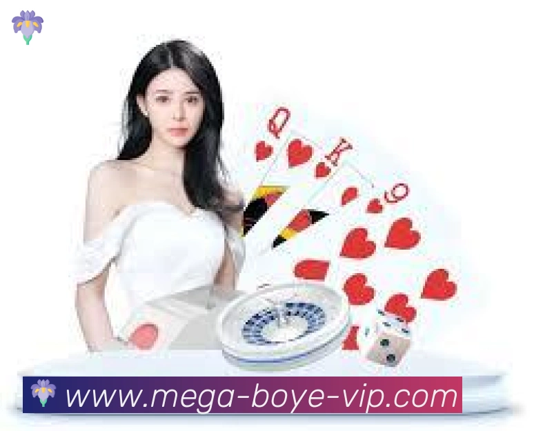 未来规划
